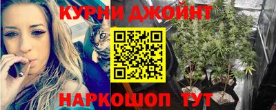 гидропоника Кунгур