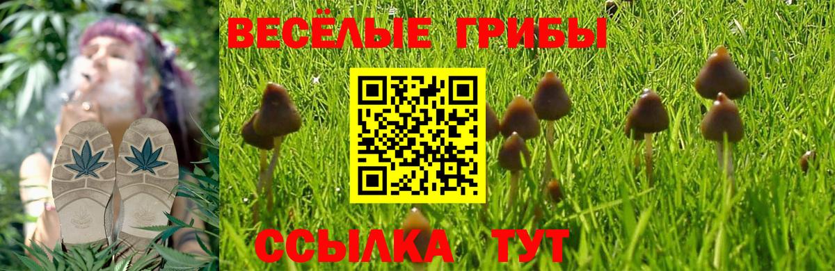 Добрянка  Псилоцибиновые грибы Magic Shrooms  Псилоцибиновые грибы мицелий  Вход с VPN 