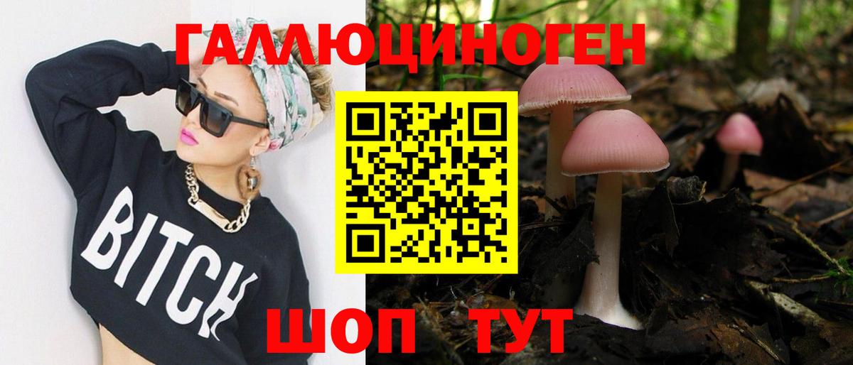 Псилоцибиновые грибы мицелий Добрянка